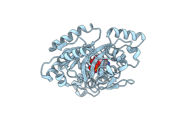 8JYD image