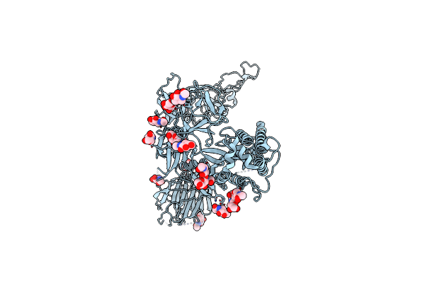 8JYM image