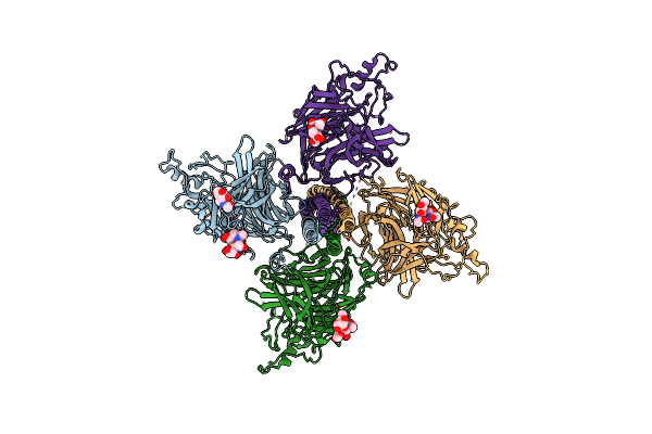 8JZB image
