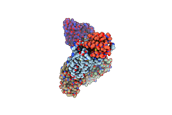 8JZZ image