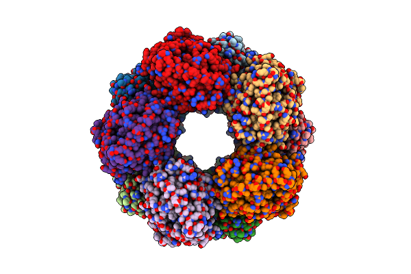 8K04 image