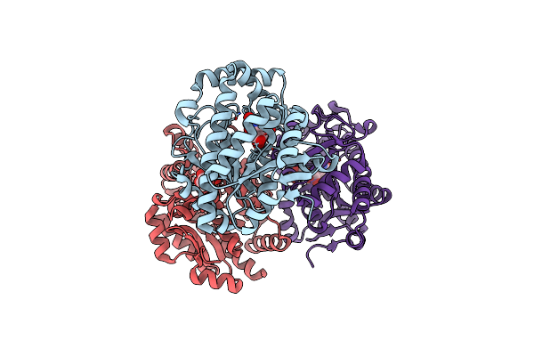 8K06 image