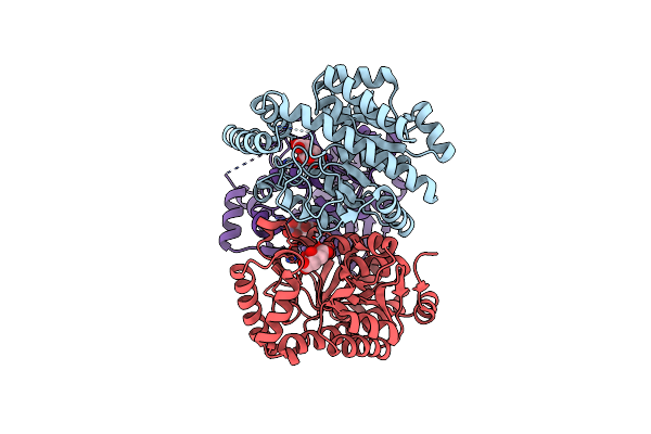 8K07 image