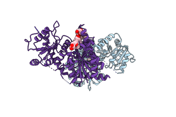 8K09 image