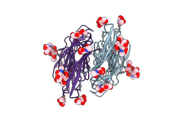 8K11 image