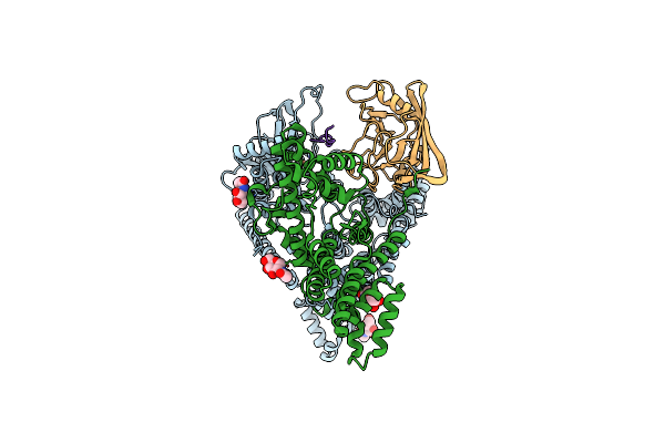 8K17 image