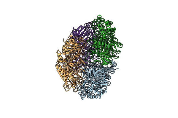 8K1A image
