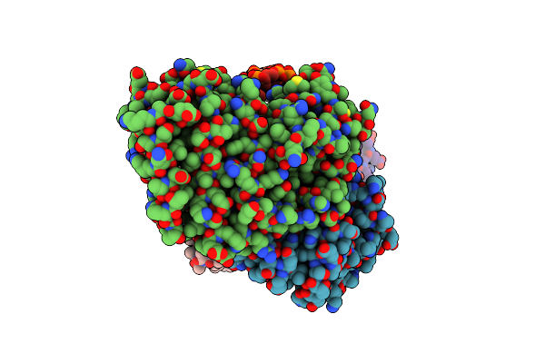 8K25 image