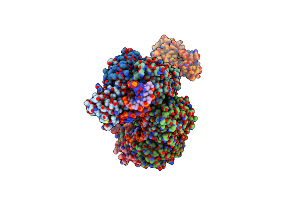 8K29 image