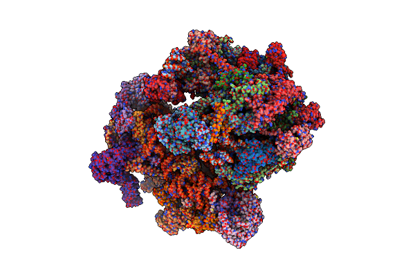 8K2A image
