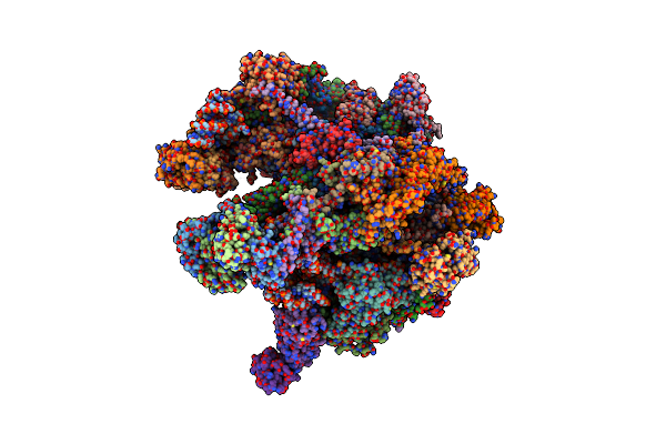 8K2B image