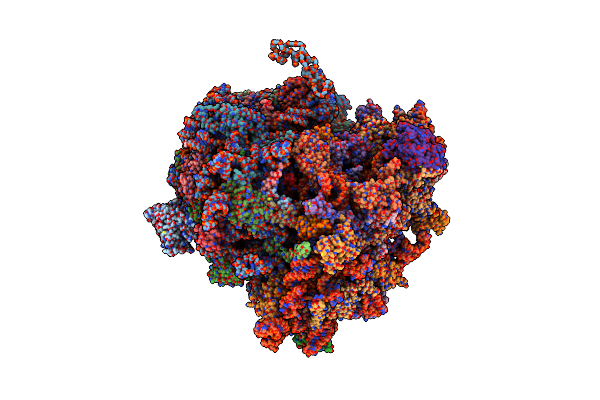8K2C image