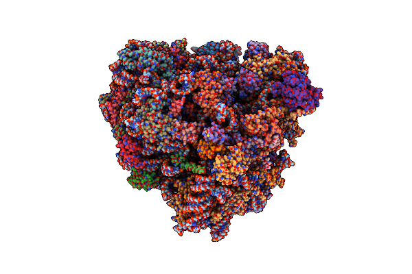 8K2D image