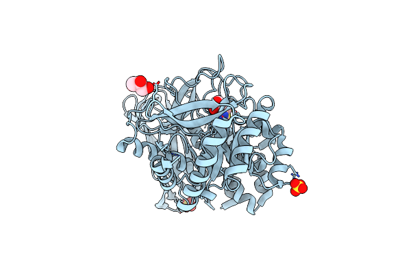8K2K image