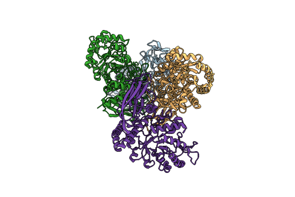 8K2N image