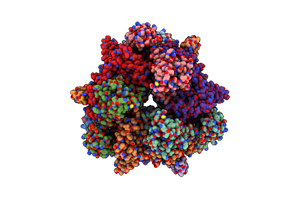 8K2V image