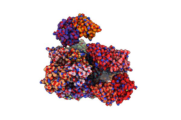 8K33 image