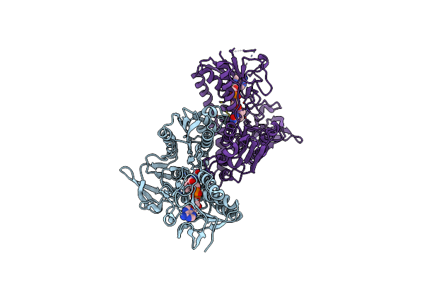 8K40 image
