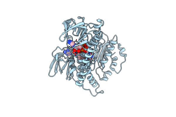 8K41 image