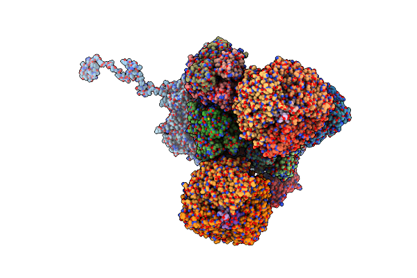 8K42 image