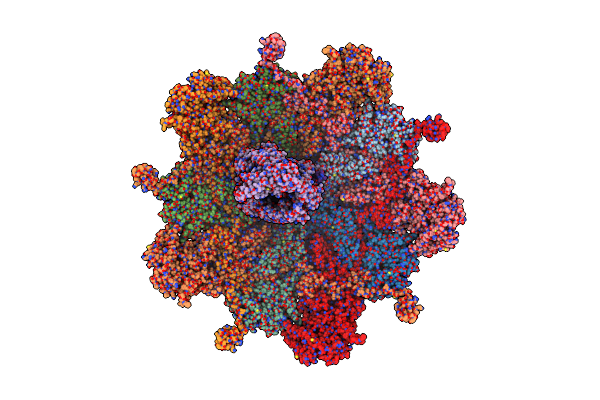 8K43 image