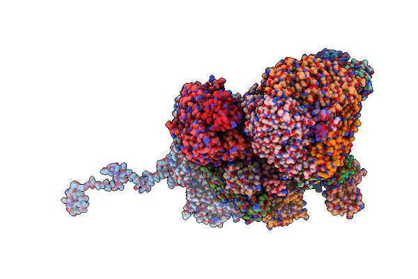 8K49 image