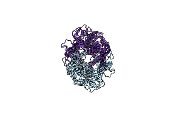 8K4B image