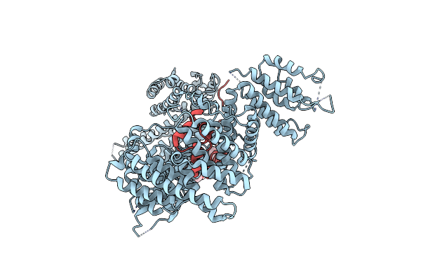 8K4D image