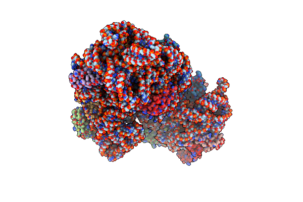 8K4E image