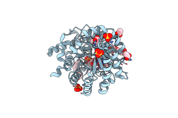8K4F image