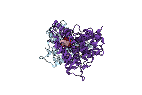 8K4H image