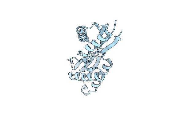 8K4I image