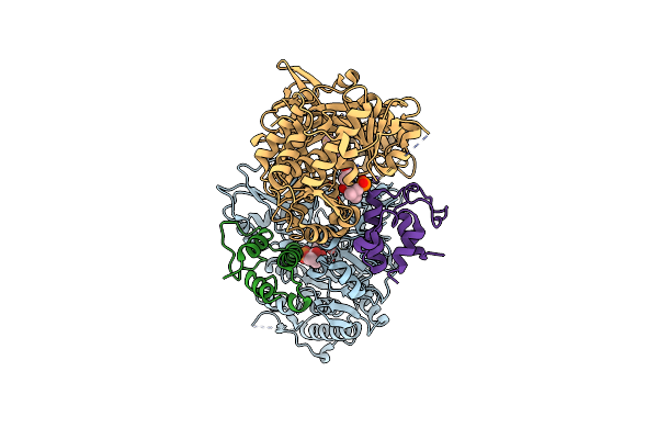 8K4R image