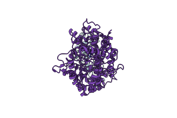 8K4U image