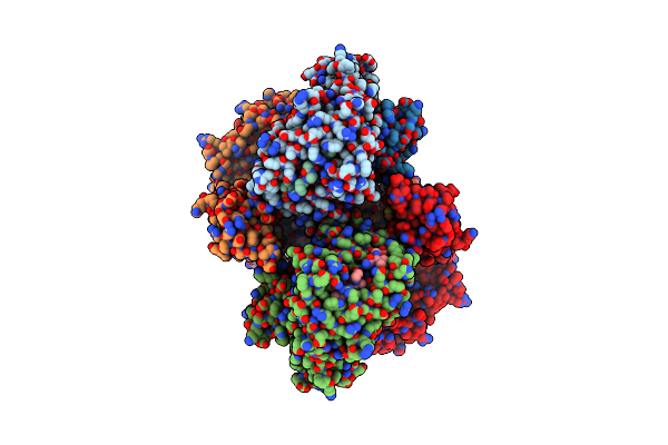8K4V image