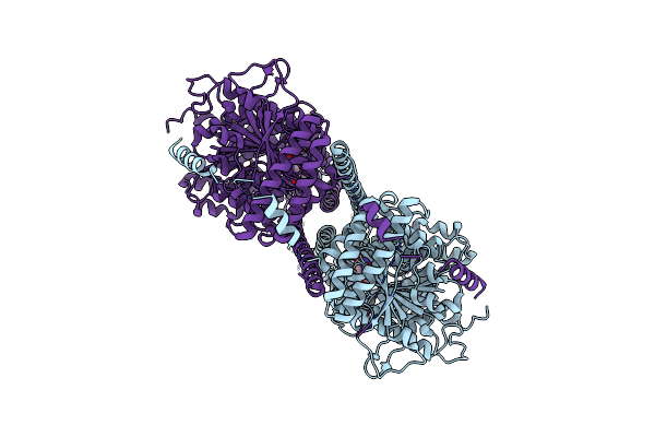 8K52 image