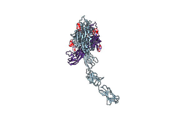 8K53 image