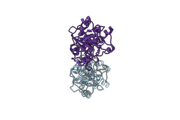 8K55 image