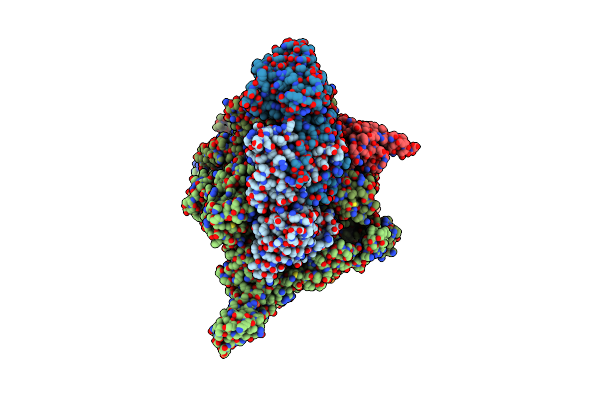 8K58 image
