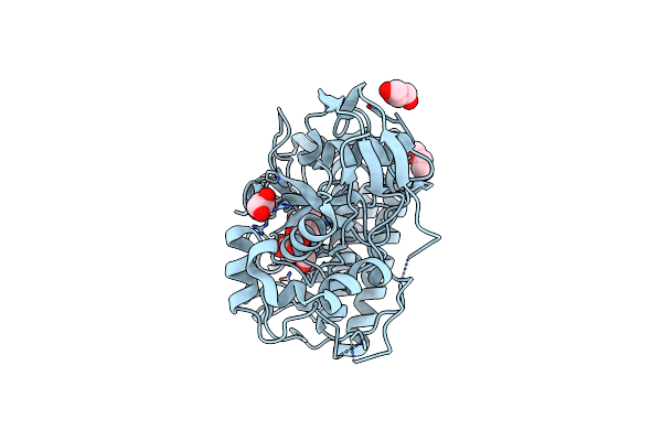 8K5I image