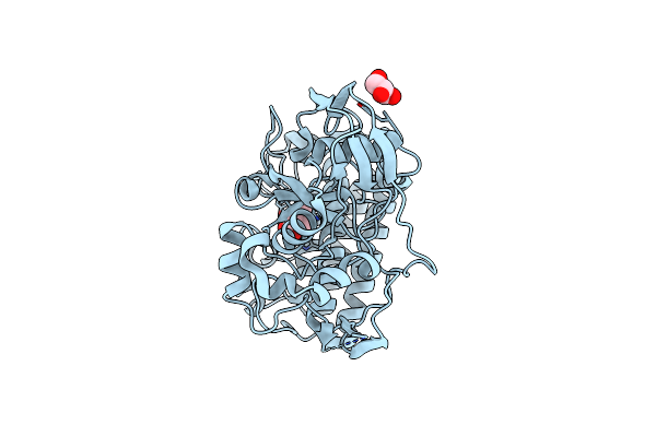 8K5J image