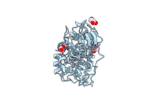 8K5K image