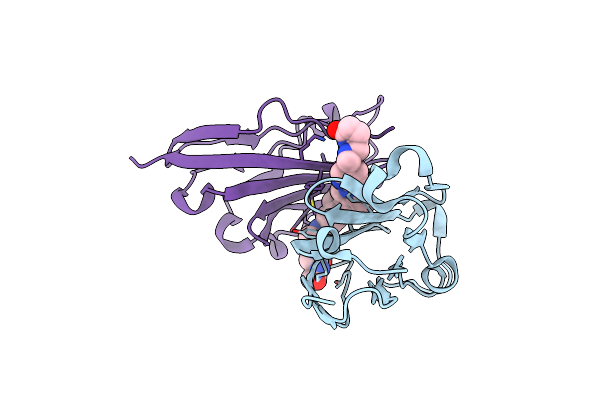 8K5N image