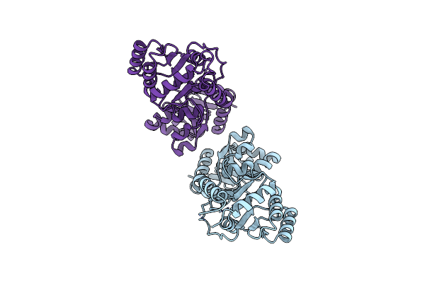 8K5U image