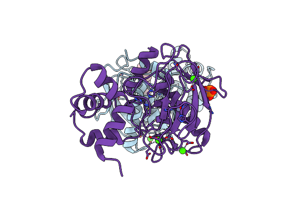 8K5V image