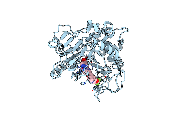 8K62 image