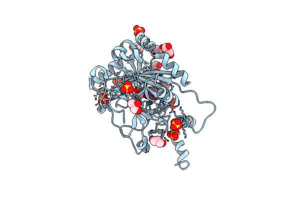 8K71 image