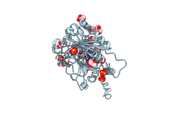 8K73 image
