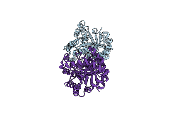 8K74 image