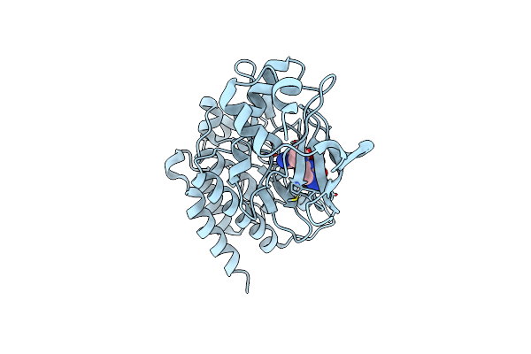8K78 image